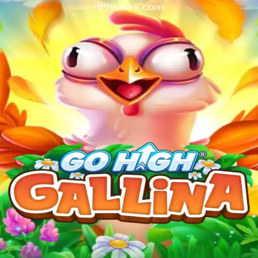 Exploring GoHighGallina: A Thrilling Adventure on i999Win.COM Platform-Oficial Slots Brasil #1