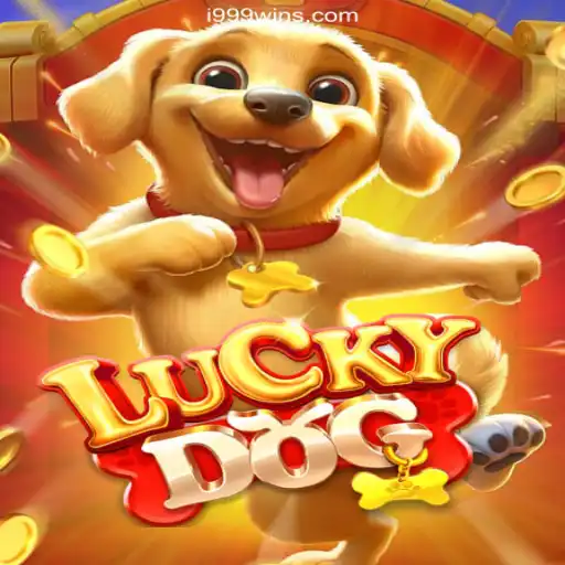 LuckyDog: A Dive into the i999Win.COM Platform's Premier Slot Game in Brazil